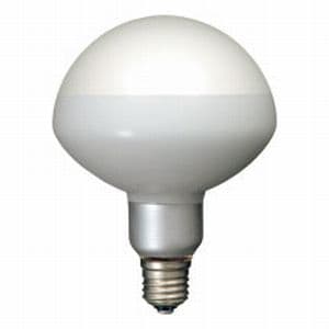 PSR500W (岩崎電気)｜写真照明用アイランプ｜白熱電球｜電材堂【公式】