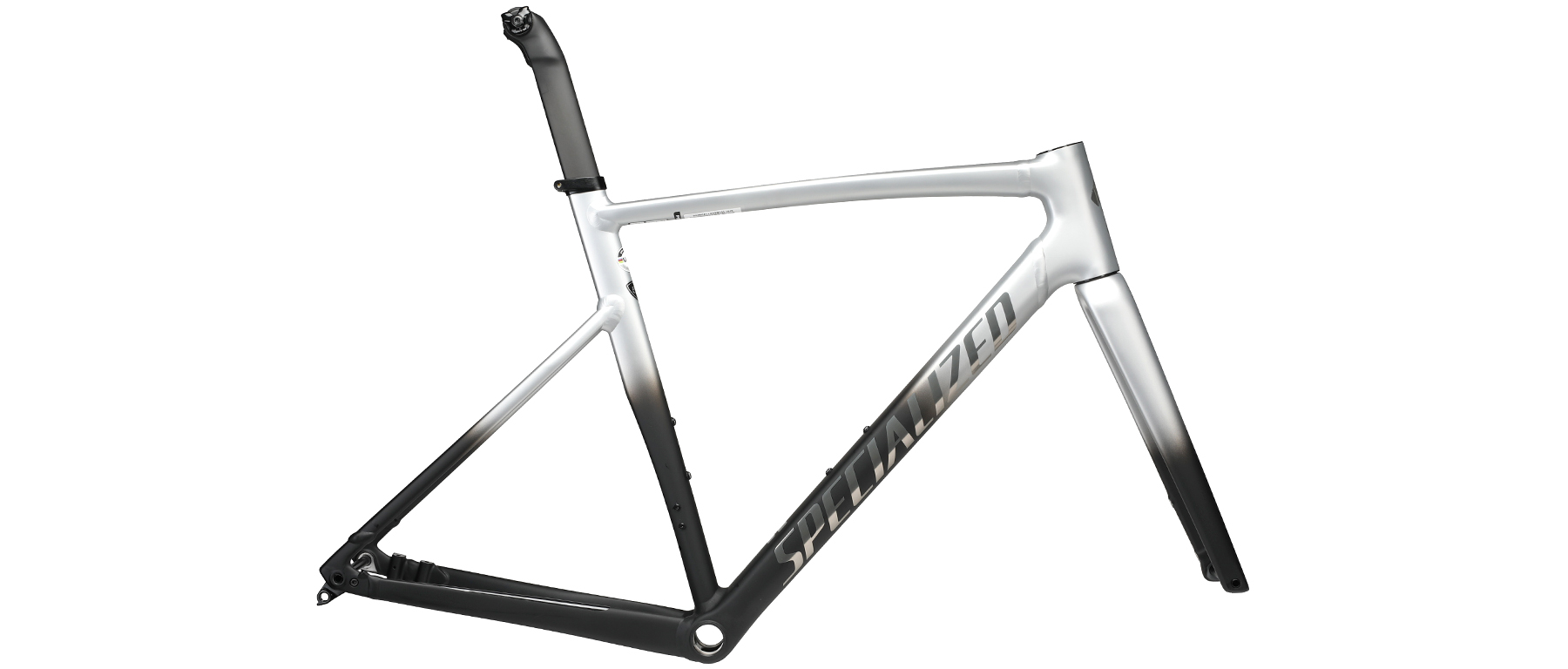 Specialized Allez Sprint Disc Frameset 2022 Excel Sports | Shop