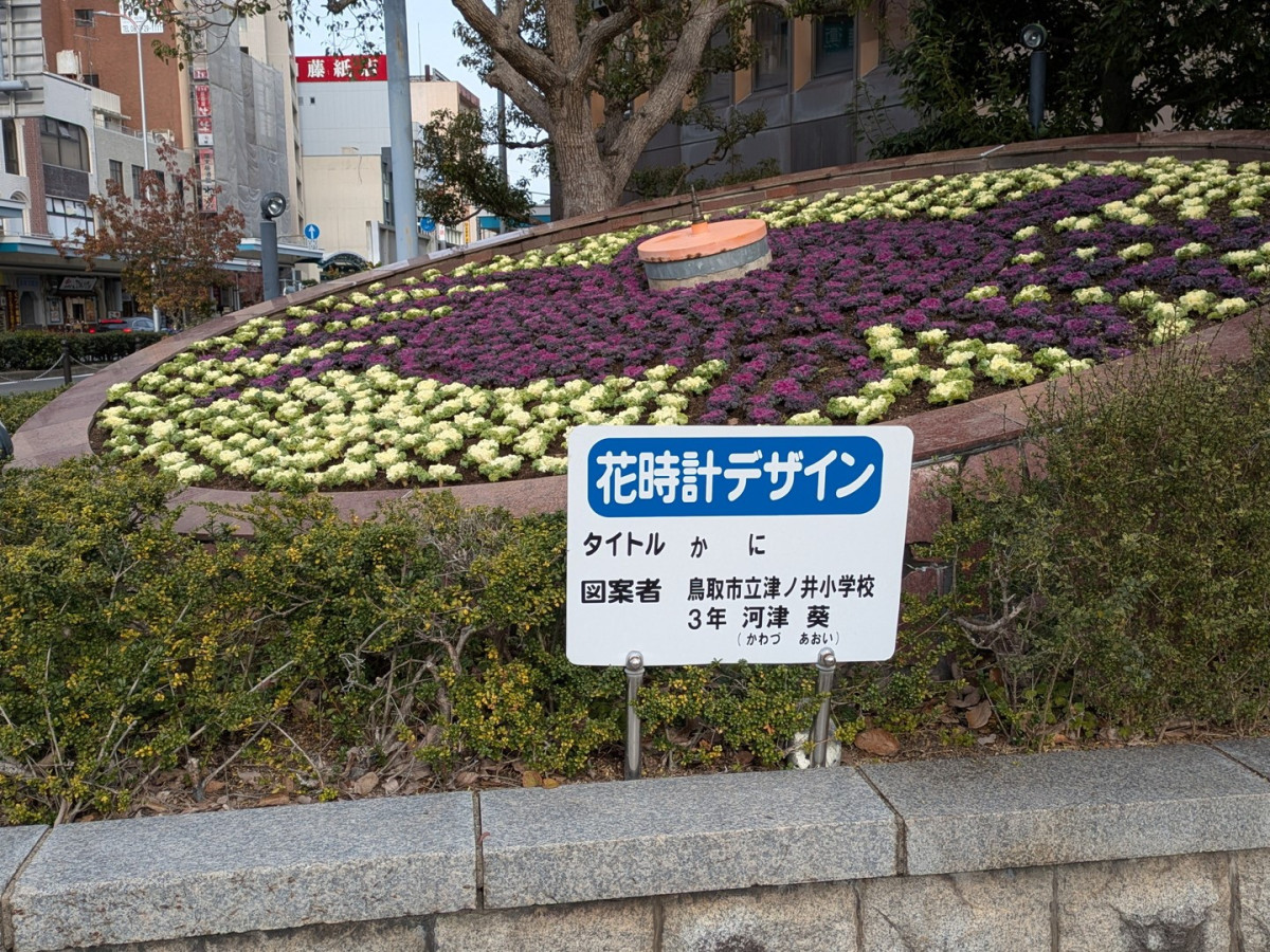 鳥取市立津ノ井小学校3年河津葵さんの図案を基に植え替えた花時計