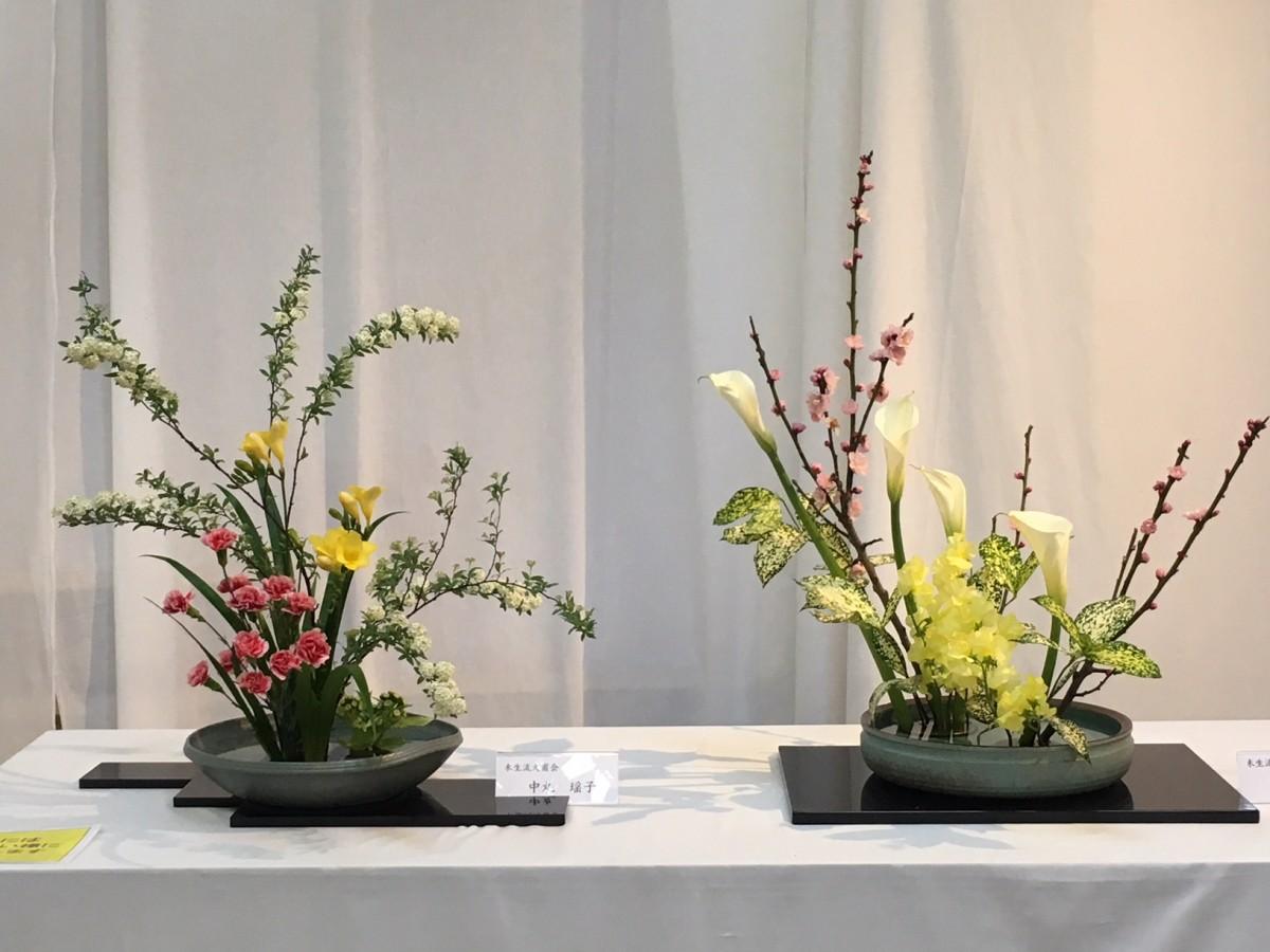 日向サンパーク温泉で生け花展 池坊、小原流、草月流などの各派の作品