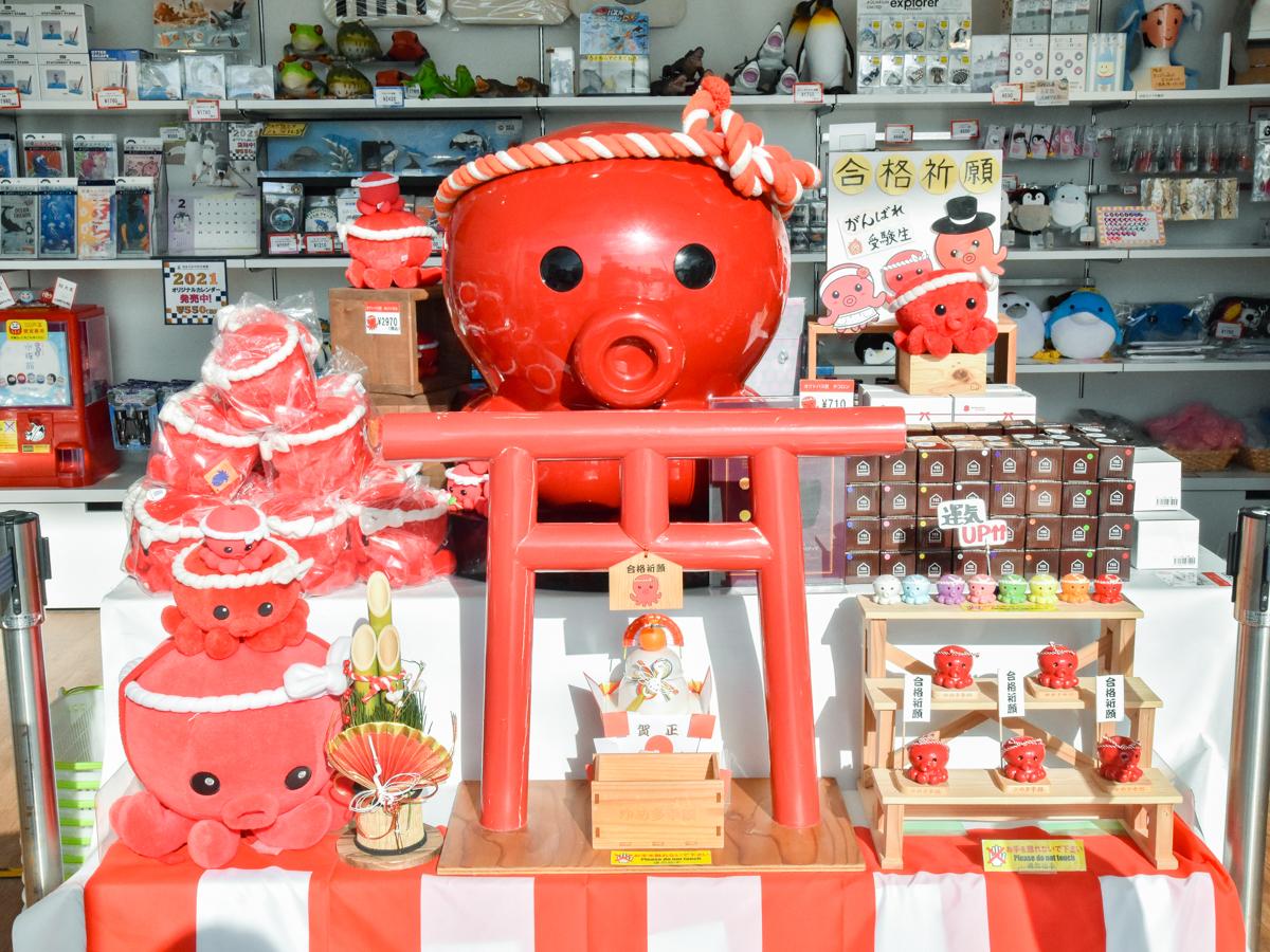 仙台うみの杜水族館で合格祈願「オクトパス君」グッズ販売 絵馬奉納