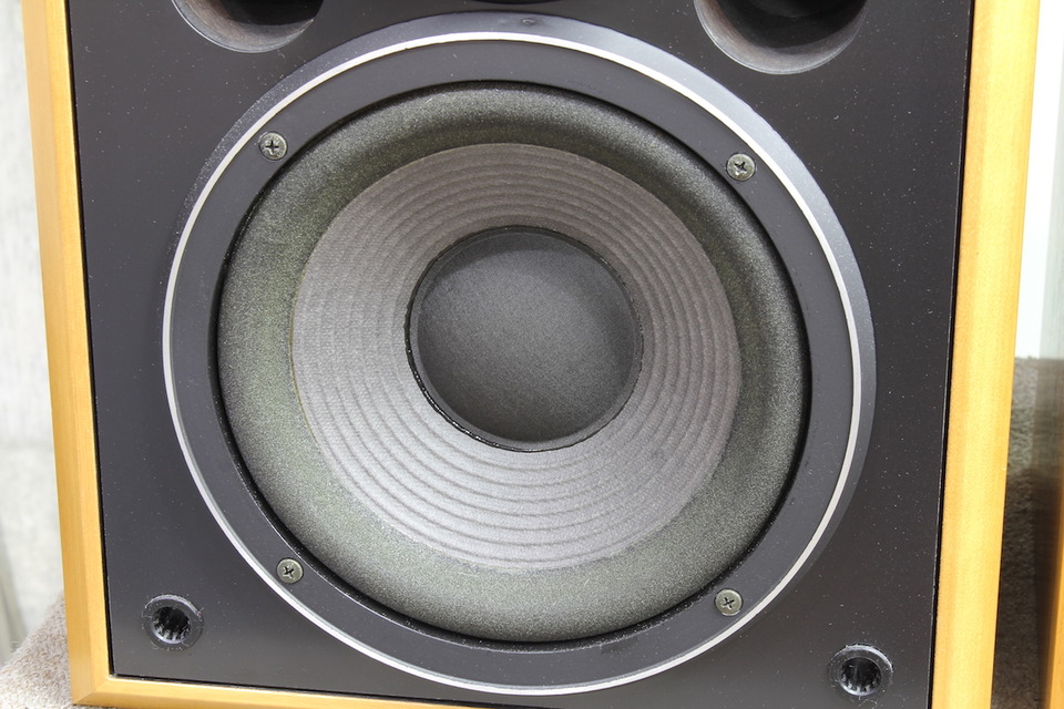 SENTRY 100A SFV Electro Voice - 中古オーディオ 高価買取・販売