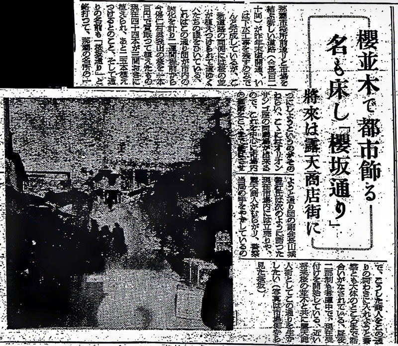 那覇市の歓楽街「桜坂」で最初に桜を植えた時の新聞記事を発見！：南の島旅