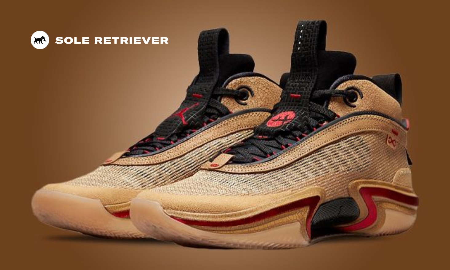 air-jordan-36-rui-hachimura-