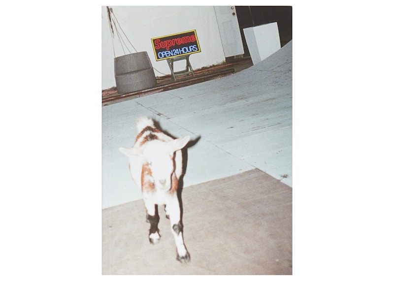 Supreme Sun Damage by Harmony Korine Book White - US