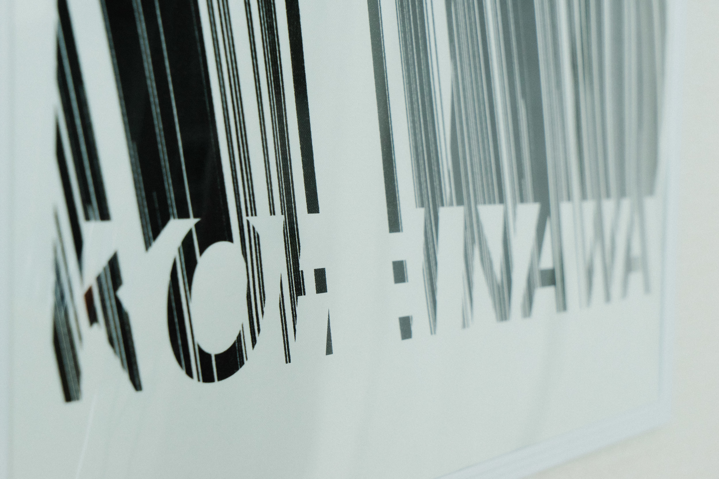 Kohei Nawa 名和晃平 — Kawaguchi Collection