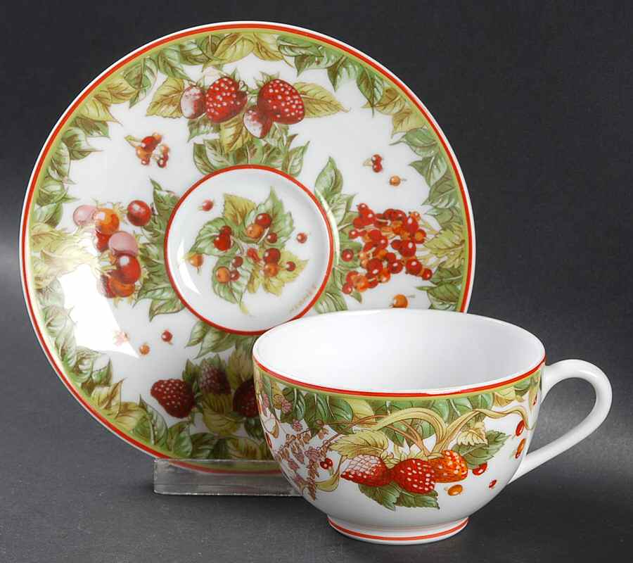 Le Jardin de Pythagore Flat Cup & Saucer Set by Hermes