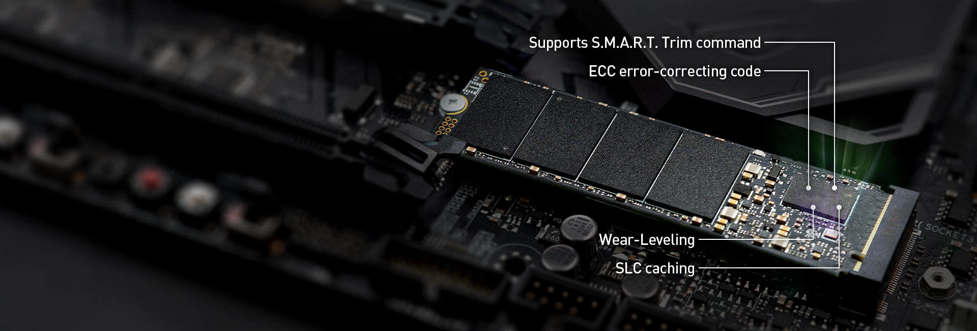 MP33 PRO M.2 PCIe SSD 512GB | TEAMGROUP