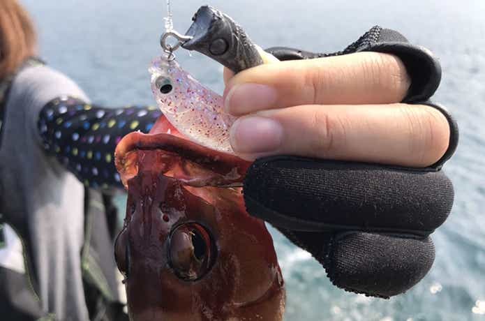 ロックフィッシュ用ジグヘッドはこれがベスト！？ 【根魚狩りJ・H】と