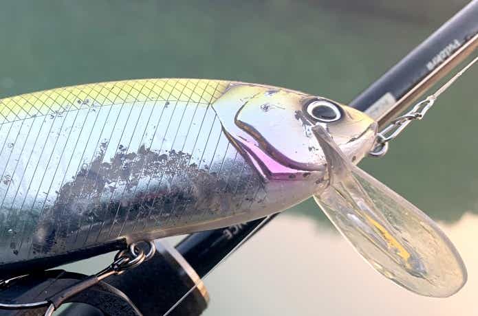 DRT“タイニークラッシュ”を使い込みインプレ｜デカバスを狂わす変幻