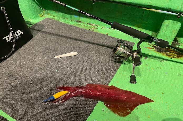 良心価格のオモリグロッド！エメラルダスX イカメタル 70MLS-Sを