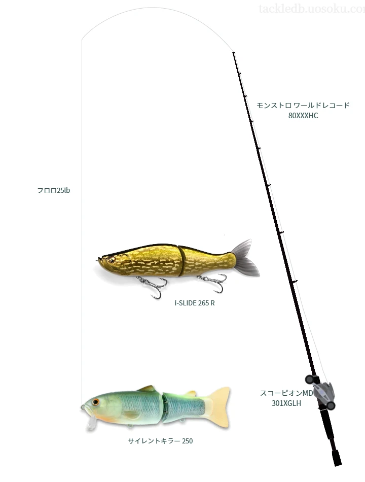 サイレントキラー 250使用タックル！インプレ及び合うロッドやライン