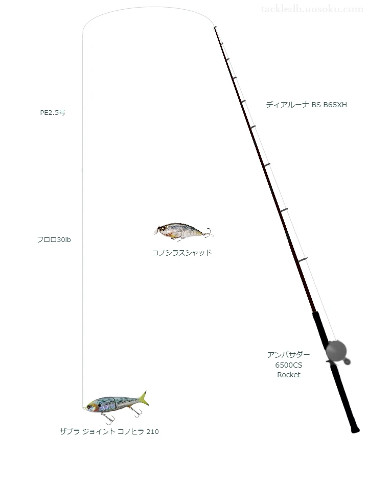 ディアルーナ BS B65XH使用タックル！インプレ及び合うリールやルアー