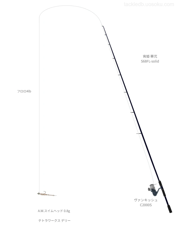 宵姫 華弐使用タックル！インプレ及び合うリールやルアーについて | 魚