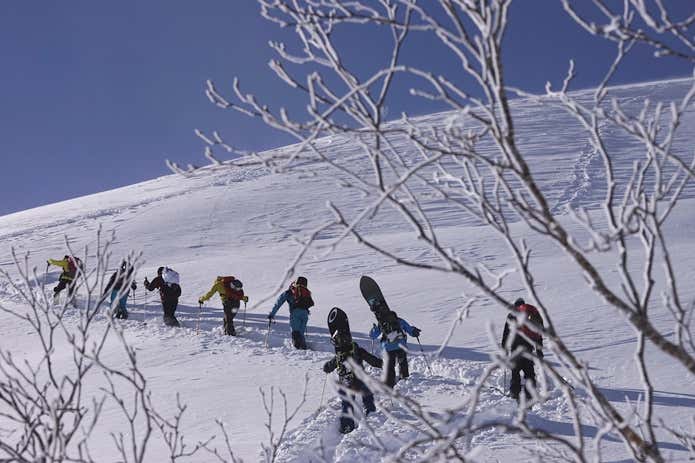 大自然を滑る「バックカントリー」の魅力とは？ガイドに聞いてみた