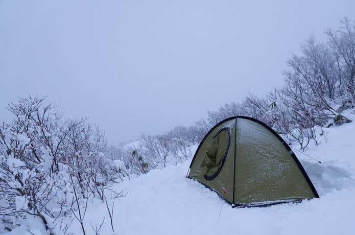 やっぱり設営がラク！ ヘリテイジのシングルウォールテント「クエスト