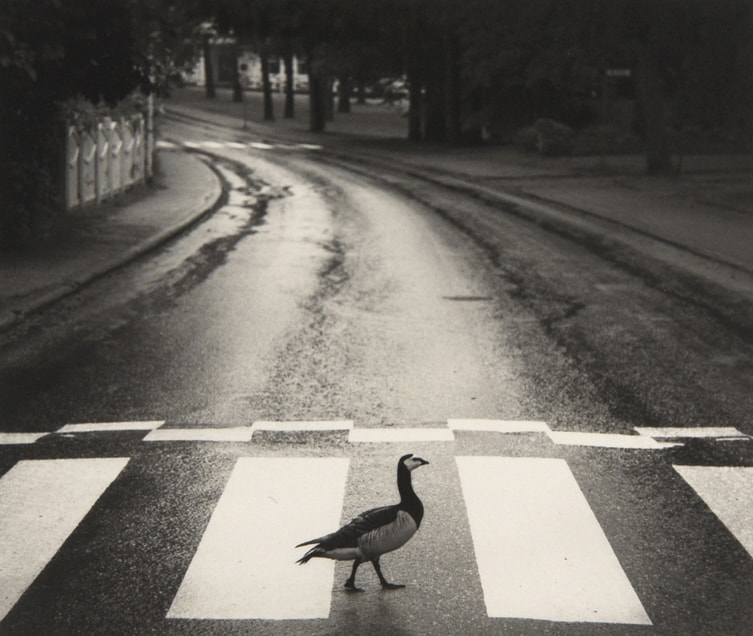 パリで堪能する、北欧の美 | ARTICLES | IMA ONLINE