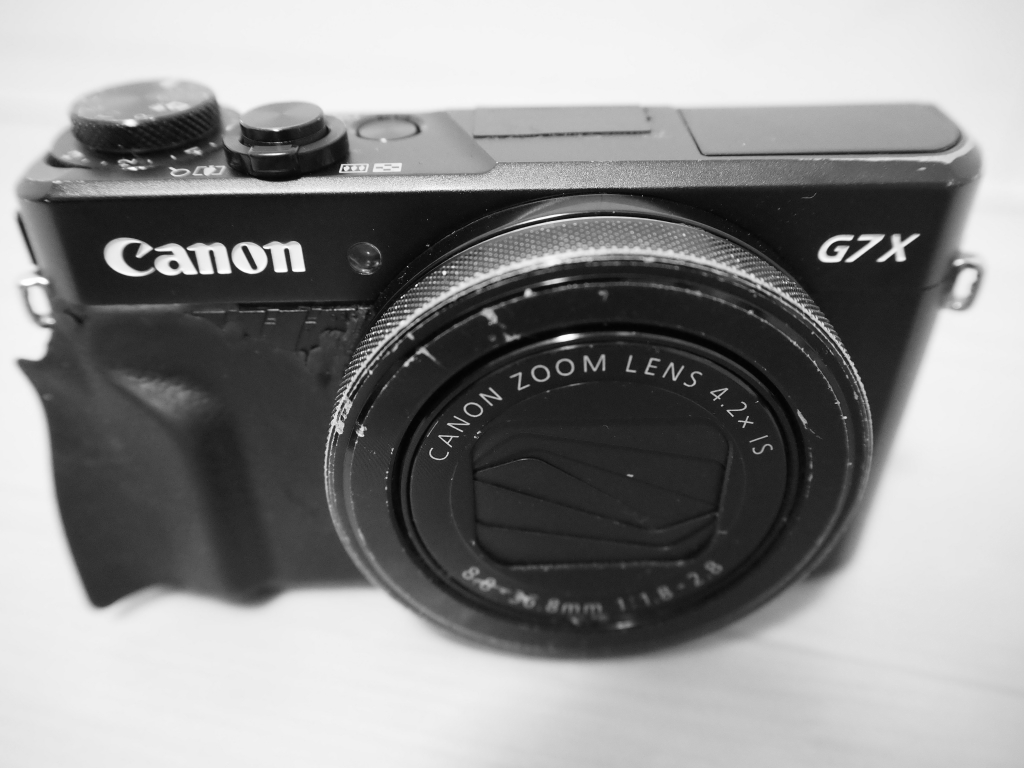 傷だらけのコンデジ＜金剛山 松の木ルート＆千早本道＞ | 楽人の山歩道