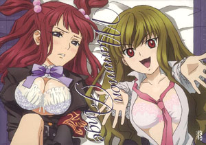 DVD うみねこのなく頃に Note.13 特装限定版 ゴールドエディション