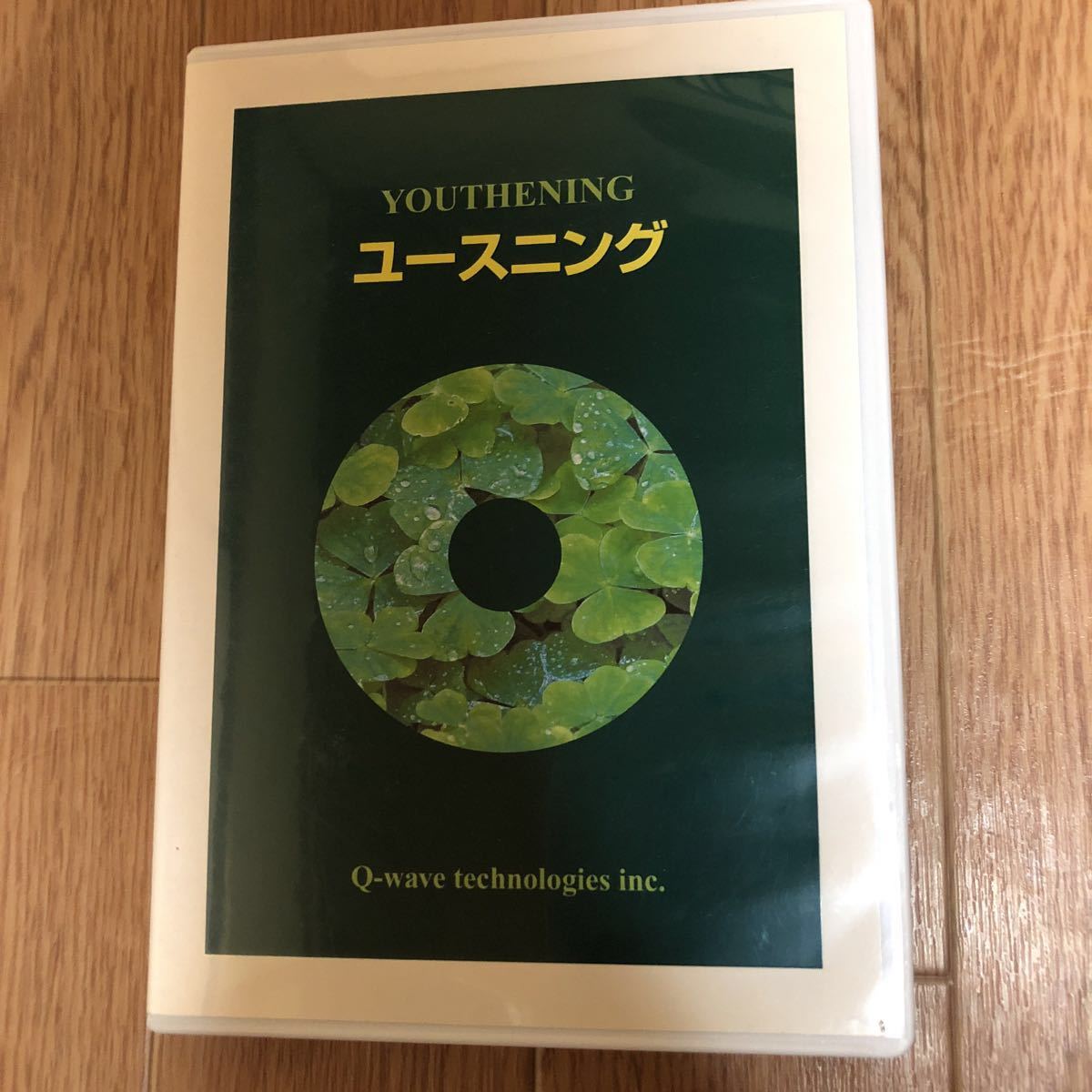 ほおじろえいいち 魔法使いの法則 DVD Q-Weve ヒーリング ほおじろえい