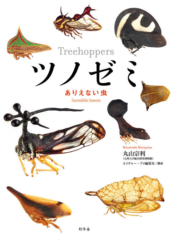 ツノゼミ ありえない虫』丸山宗利 | 幻冬舎