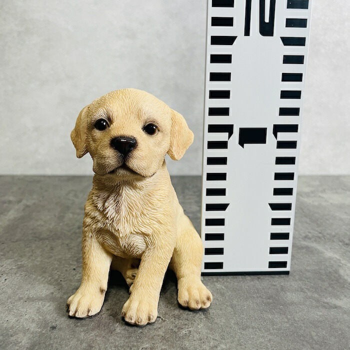 かわいい犬の置物 頭を上げる ラブラドールレトリバー 玄関 動物