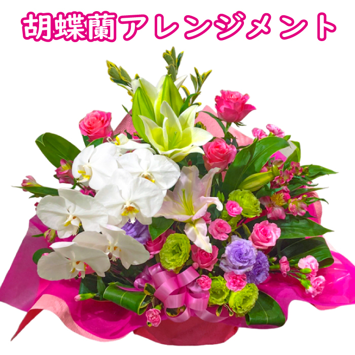 胡蝶蘭 アレンジメント 御祝 お供え 宅配 花 仏花 生花 お供え 一周忌