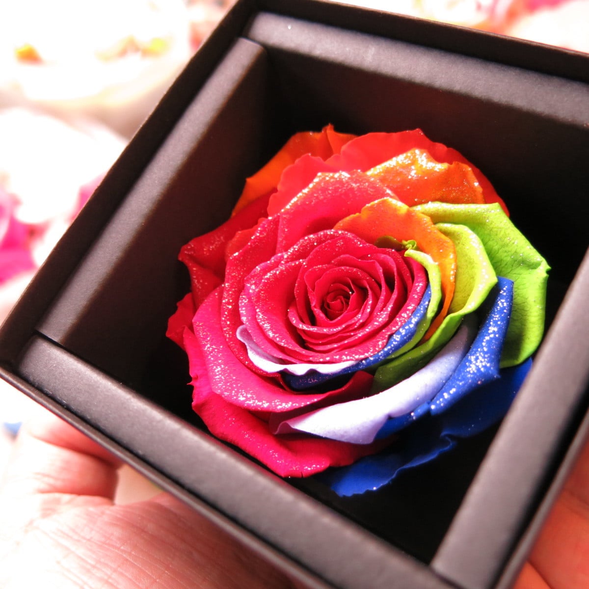 高級プリザーブドフラワー】レインボーローズ 花時計 フォトフレームL