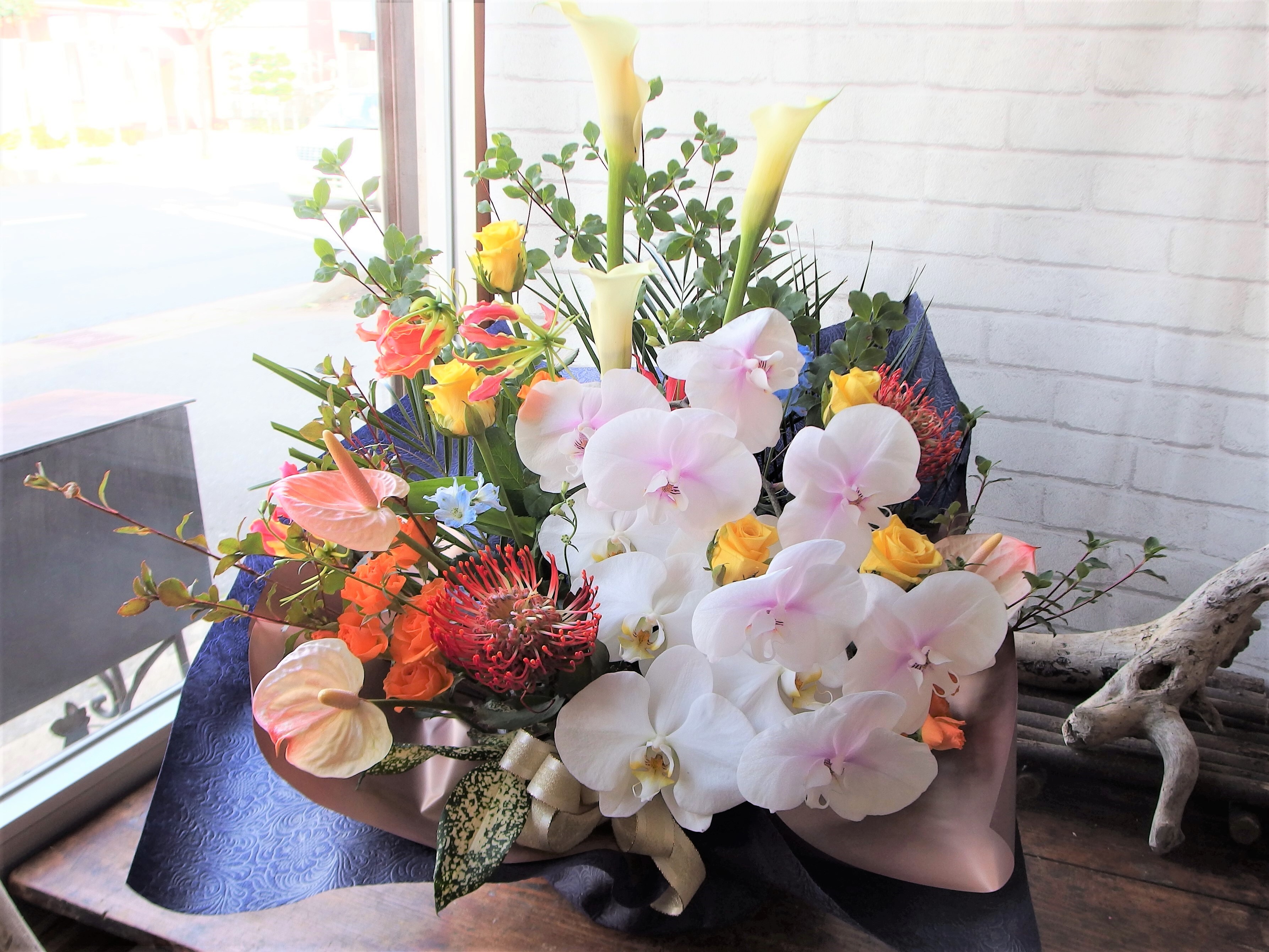 豪華アレンジメント】胡蝶蘭をいれて華やかに【大切な方へ】恋人 上司