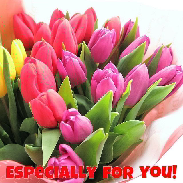 チューリップ 花束 ミックスカラー 生花使用 チューリップ 20本使用