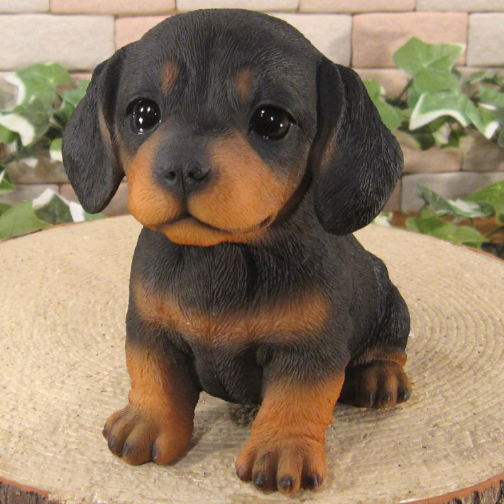 犬 置物 リアル 仔ダックスフント お座り ブラック 動物オブジェ