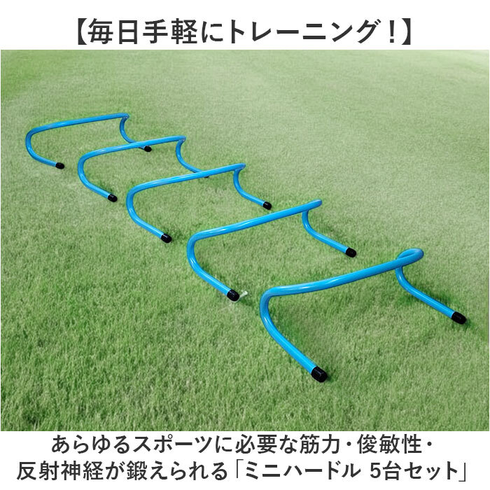ミニハードル トレーニング 通販 トレーニングハードル 陸上 高さ15cm