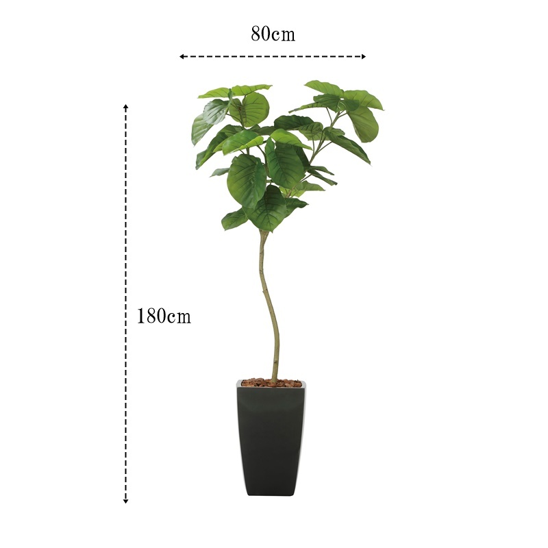 人工観葉植物 フェイクグリーン 【光触媒】 アーバンウンベラータ1.8m