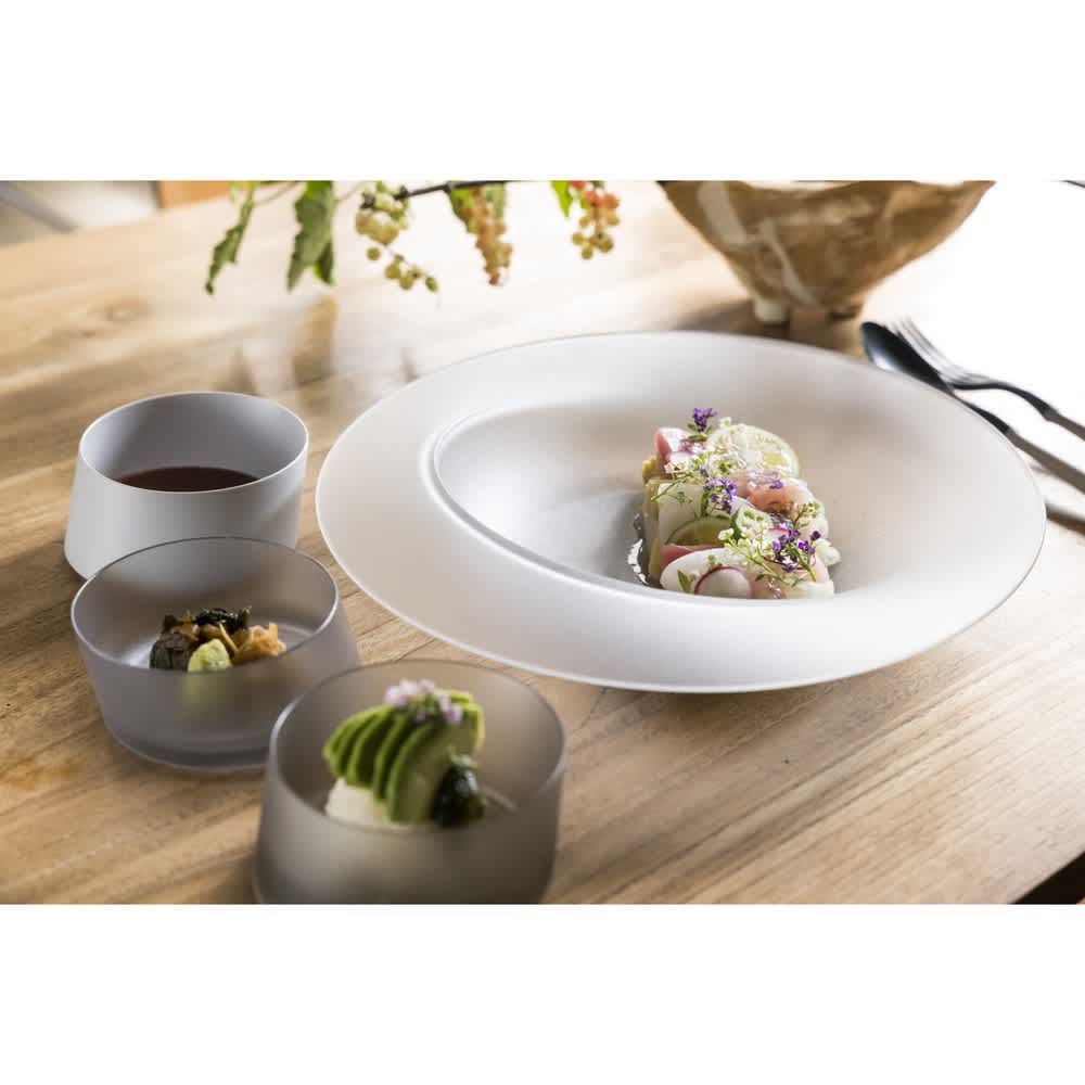 ARAS スクープ 直径25.7cm ガラス調 割れない深皿 1枚 通販 - ディノス