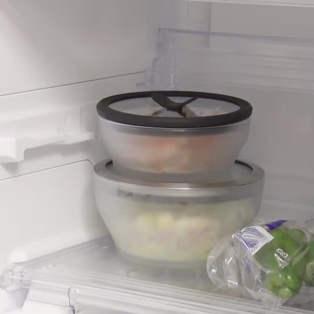 マイヤー 耐熱ガラスディッシュAnyday（エニデイ）16・14cmディノス