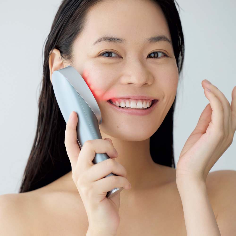 ミーゼ ニードルリフトブラシ 通販 - ディノス