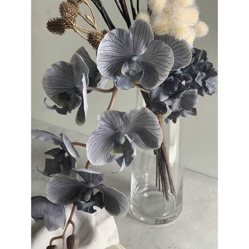 胡蝶蘭のアレンジメント ベース付 通販 - ディノス