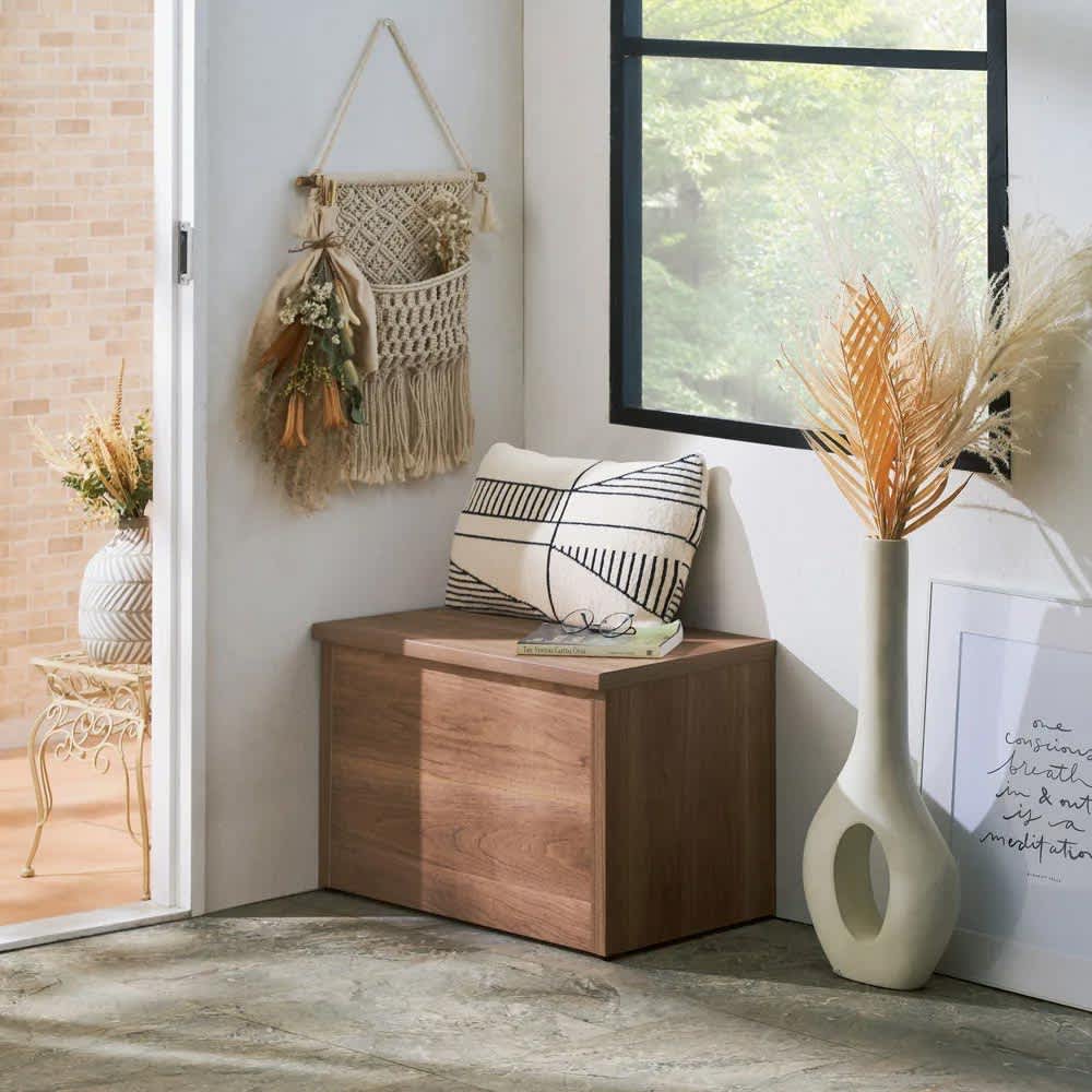 耐荷重100kg！組立不要 収納庫付ベンチ ボックスタイプ・幅60cm奥行