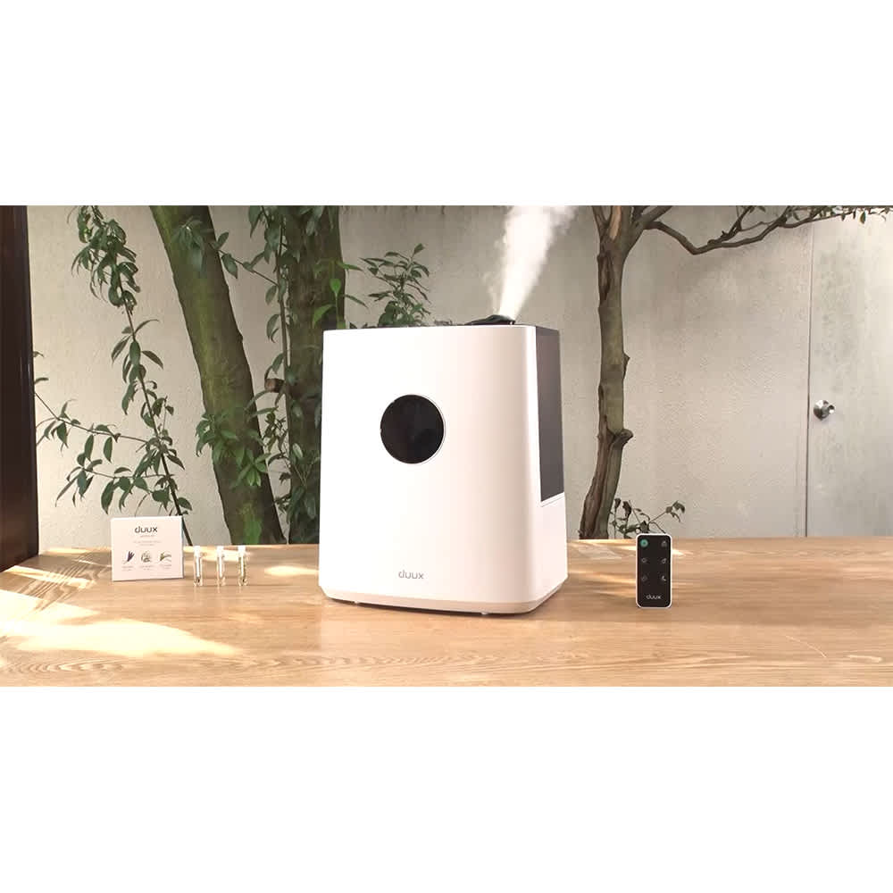 duux/デュクス ハイブリッド式加湿器 サーモソニック 特別セット 通販