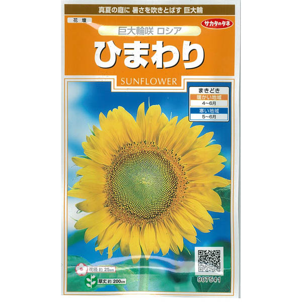 園芸ネット本店｜ヒマワリ：巨大輪咲き ロシア[サカタ 花タネ] の通販