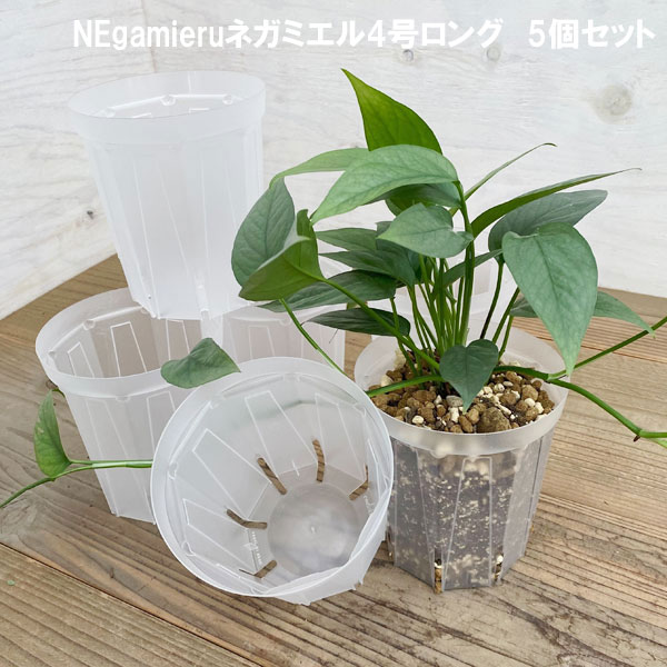 園芸ネット本店｜スリット鉢（透明）：ネガミエル4号ロング5個セット