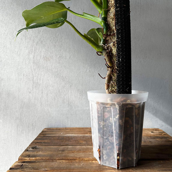 園芸ネット本店｜スリット鉢（透明）：ネガミエル5号ロング 2個セット