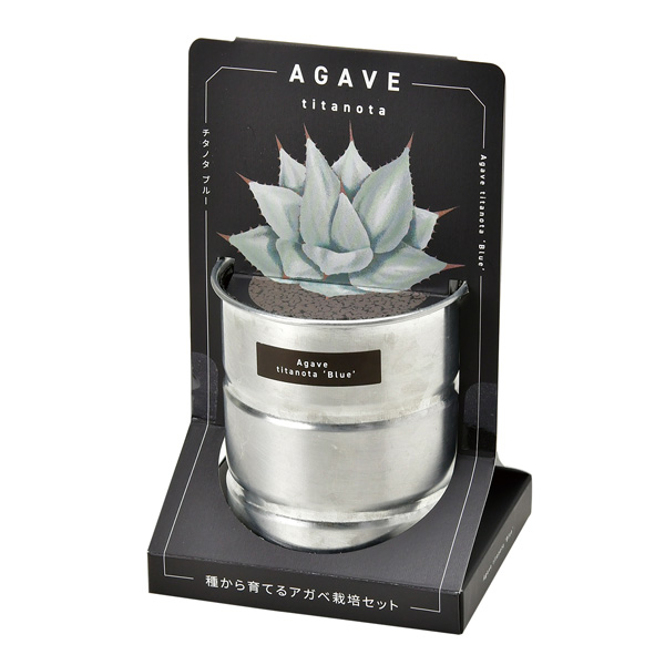 園芸ネット本店｜[ギフトに]栽培セット：種から育てる アガベ栽培