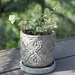 園芸ネット本店｜鉢 プランター:アンティーク の商品一覧 【公式】