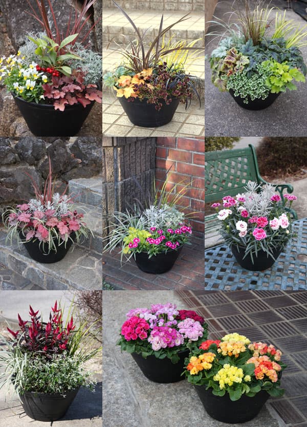 園芸ネット本店｜プラスチック製寄せ植え鉢：平鉢 寄せ植えジョイ 9号