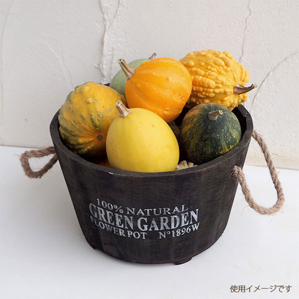 ハロウィン観賞用おもちゃかぼちゃ 40個 サチ5A ハロウィン観賞用