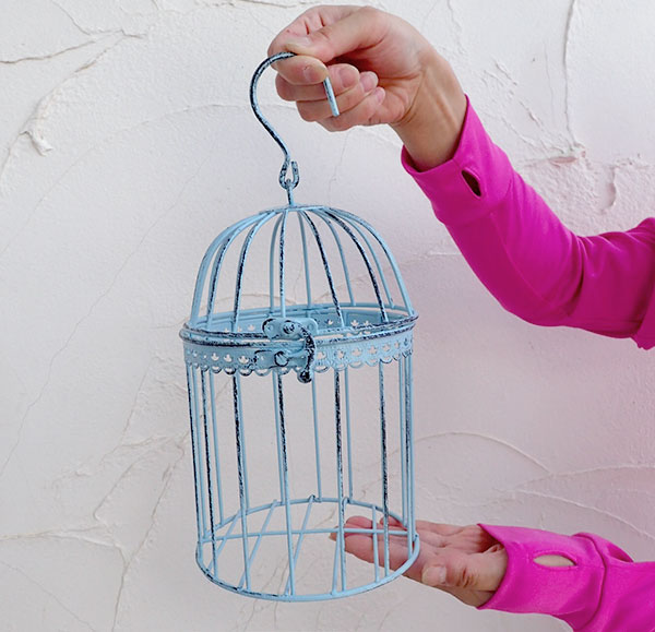 園芸ネット本店｜バードケージ2M／ABBG17-M20（ライトブルー） の通販