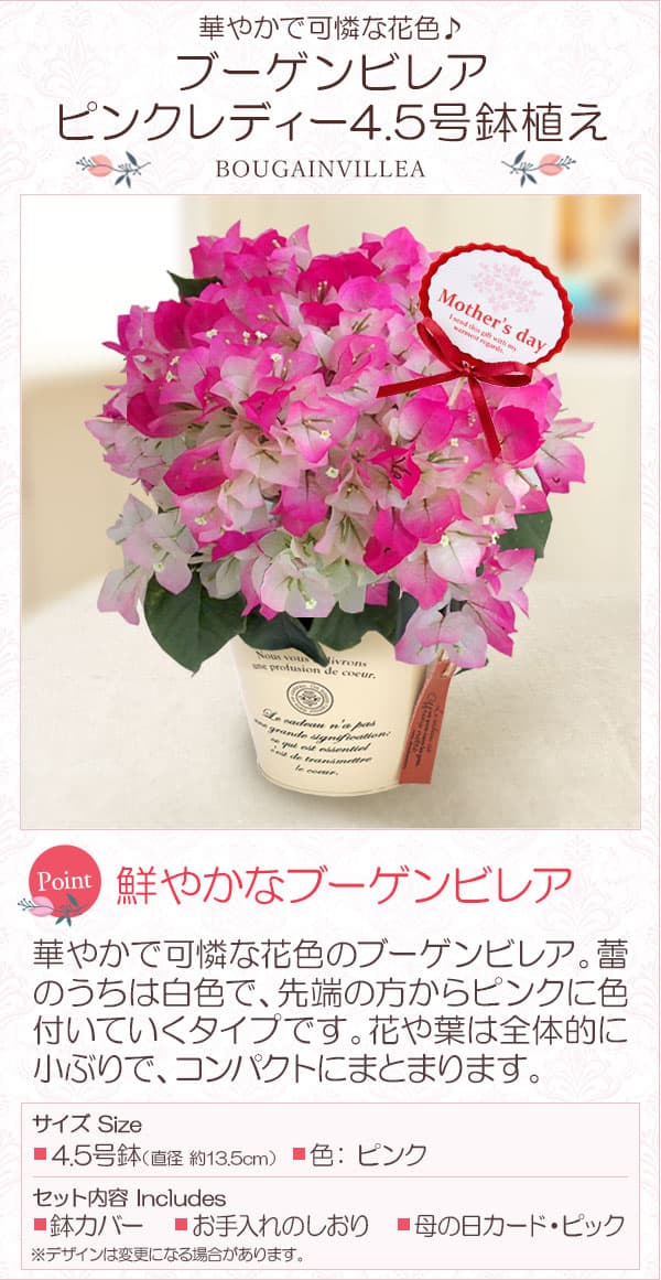 園芸ネット本店｜[送料無料][2023年 母の日ギフト][予約