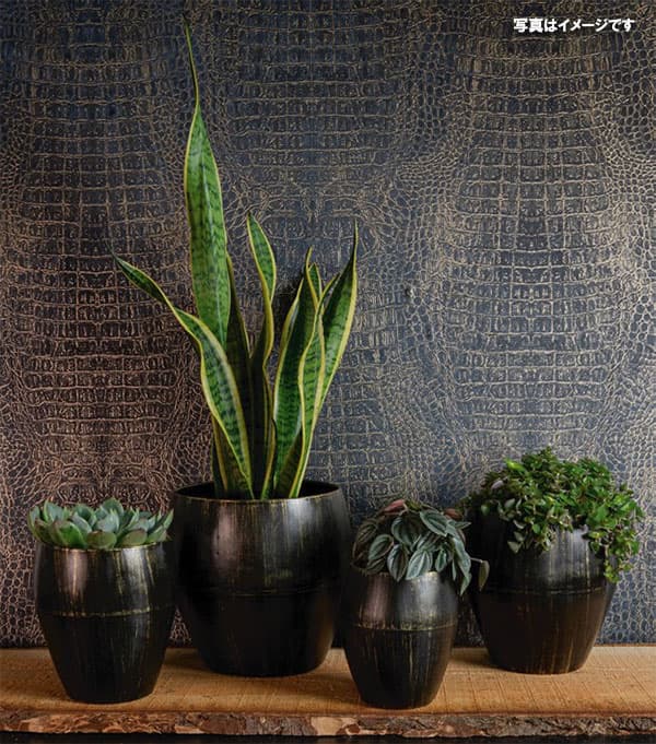 園芸ネット本店｜（わけあり特価）メタル鉢カバー：チモ ブラック特大