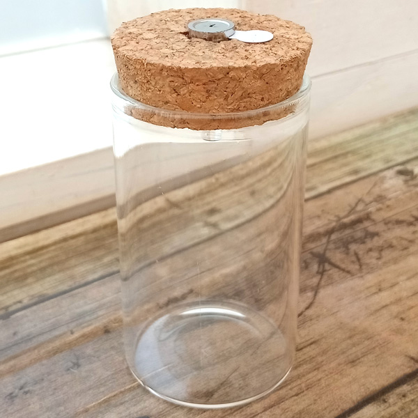 園芸ネット本店｜LEDライト付きテラリウム容器 の通販【公式】